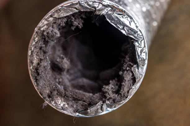 Best Residential Air Duct Cleaning  in Shinglehouse, PA