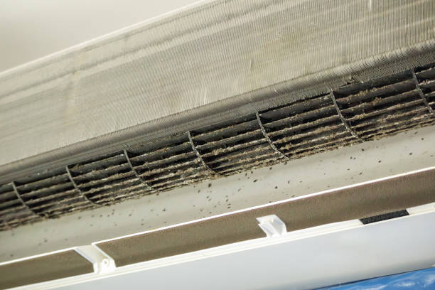 Best Air Duct Cleaning Near Me  in Shinglehouse, PA